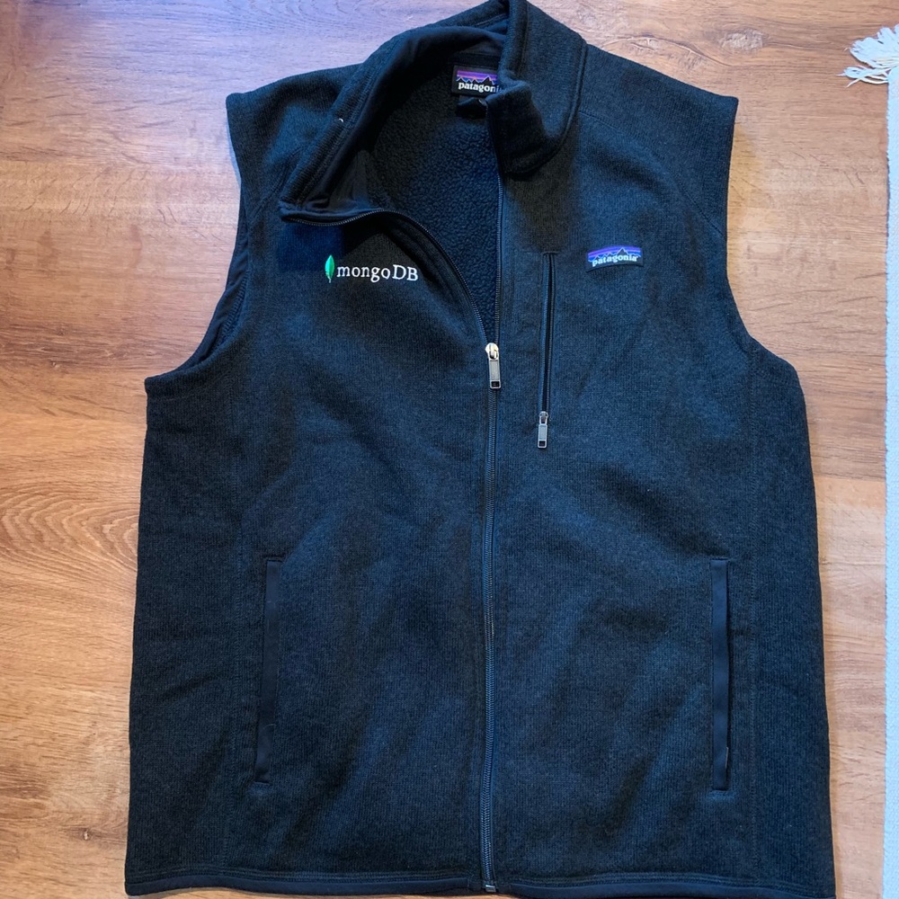 Patagonia vest